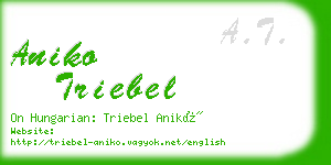 aniko triebel business card